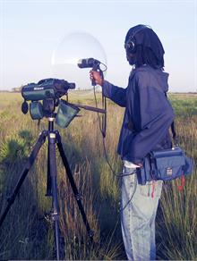 A Telinga is the perfect listening companion to your binoculars, spotting scope or DSLR camera. 